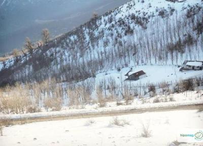 پیوند جنگل و دریا در ساحل گیسوم پیوند جنگل و دریا در ساحل گیسوم